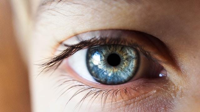 yeux
